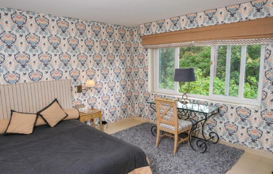 Suite Pine Hill View