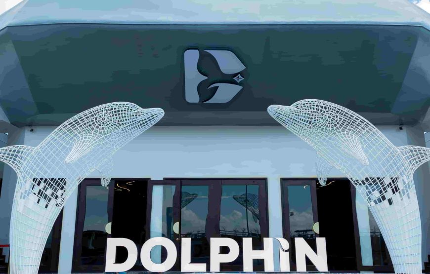 DOLPHIN HALONG CRUISE